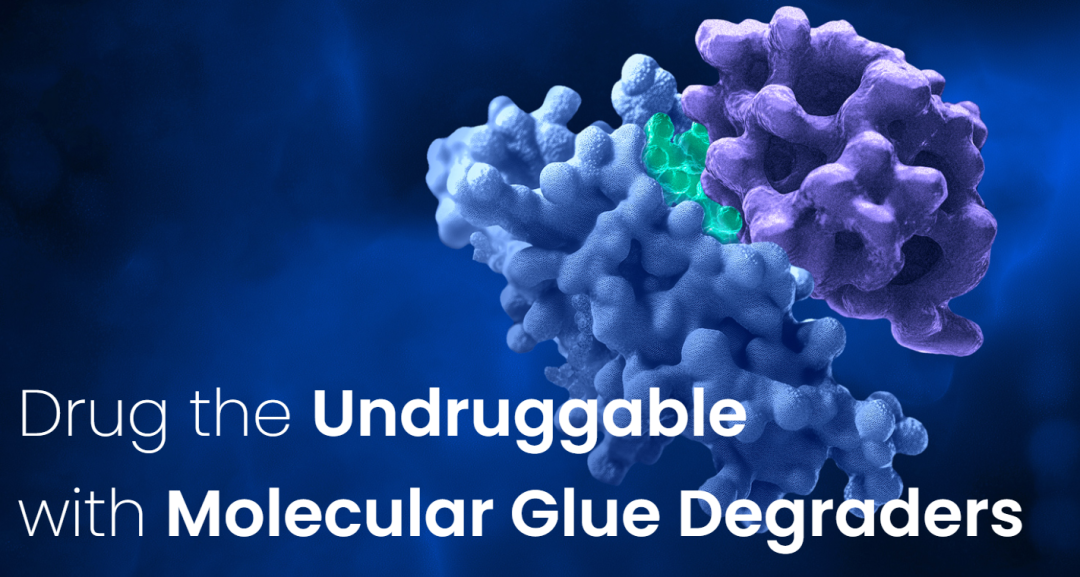 resize,m_fill,h_272,w_448,limit_0